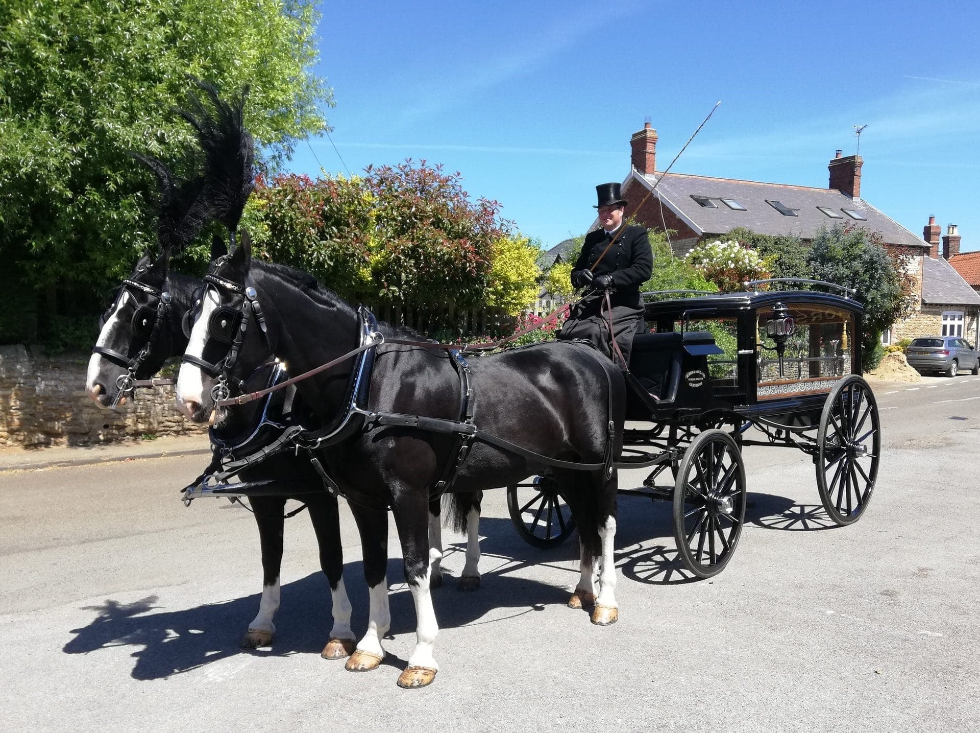 Black horses in full funeral harness standing quietly before a Lincolnshire church