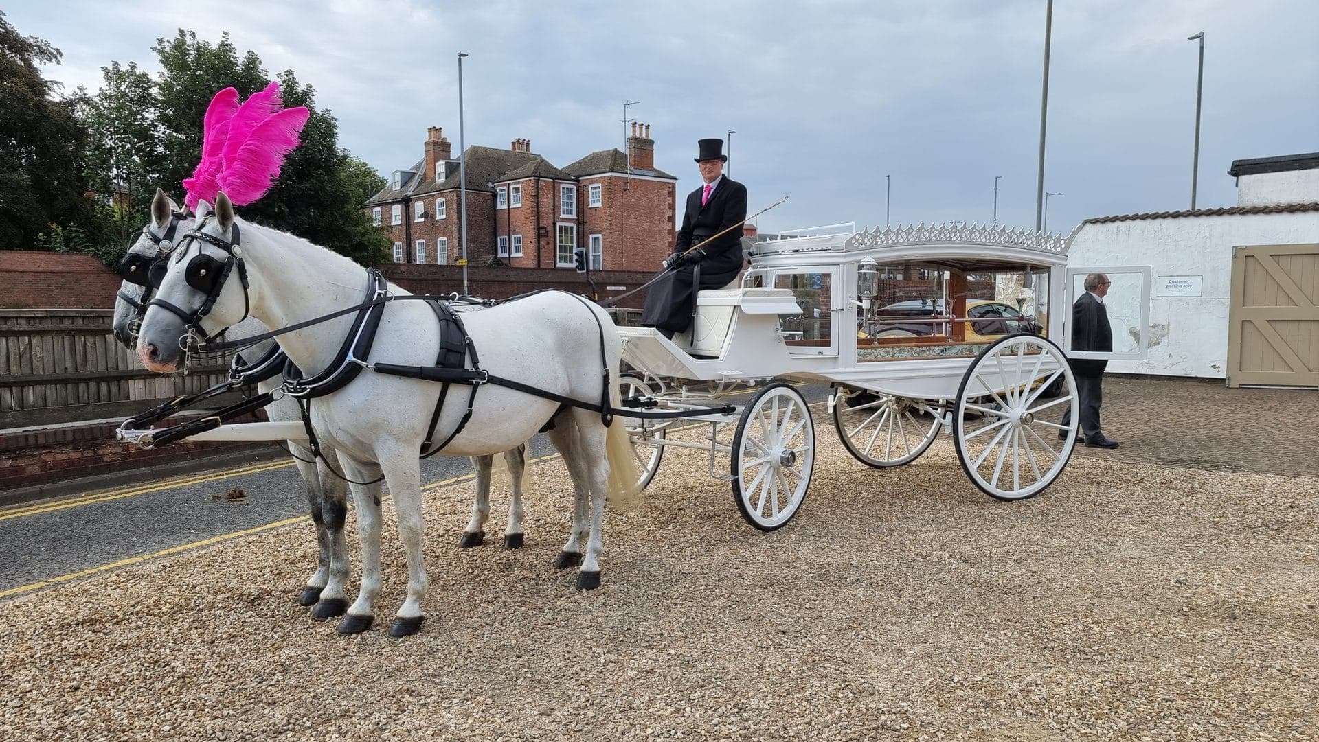 Danny on the box seat in livery, reins in hand, black horses ahead