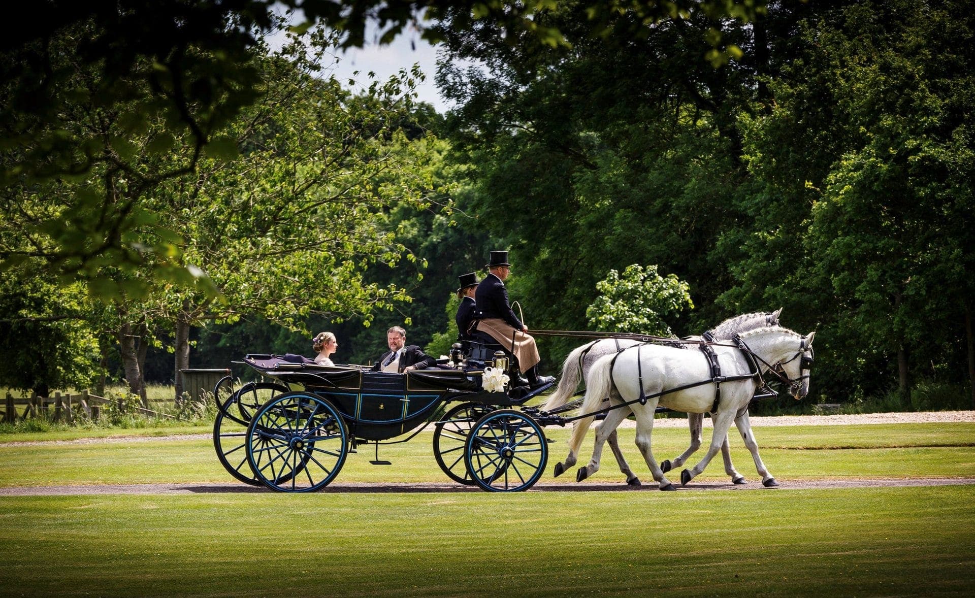 Carriage driving lesson in progress on quiet Lincolnshire lanes near Grantham