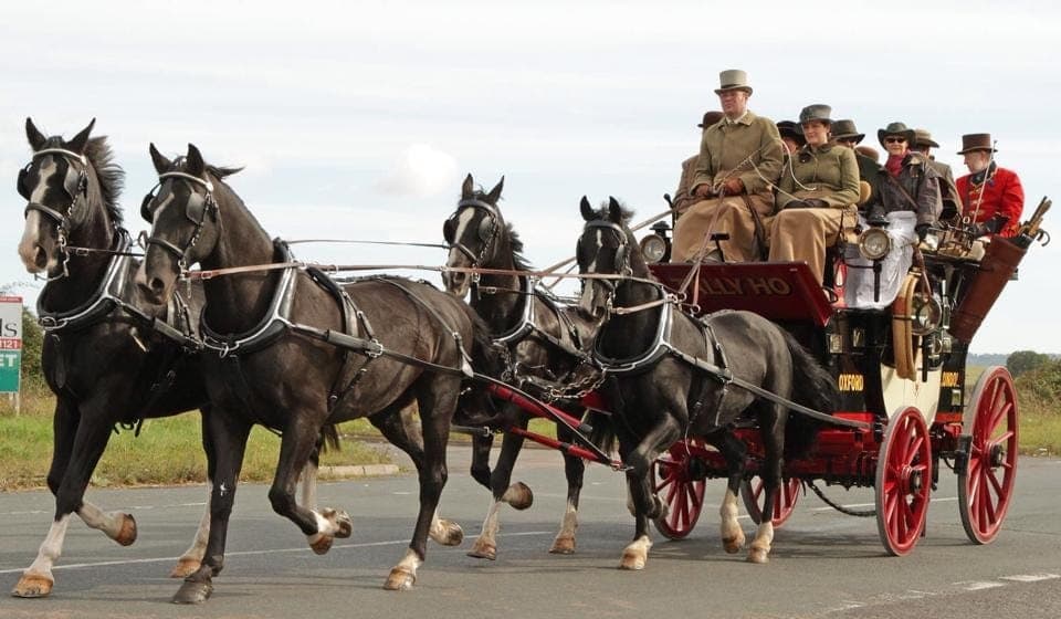 Grey Lippizaner horses pulling a carriage at a walk through Lincolnshire countryside