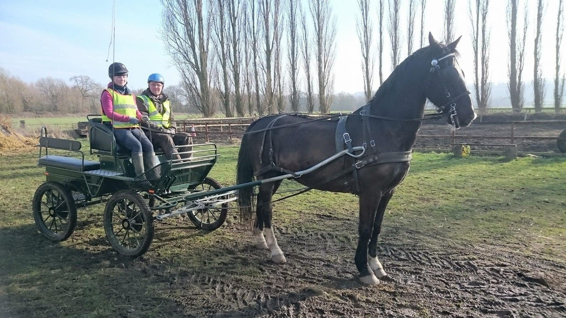 Barlows Farm yard, Grantham, Lincolnshire, home of DK Carriage Horses