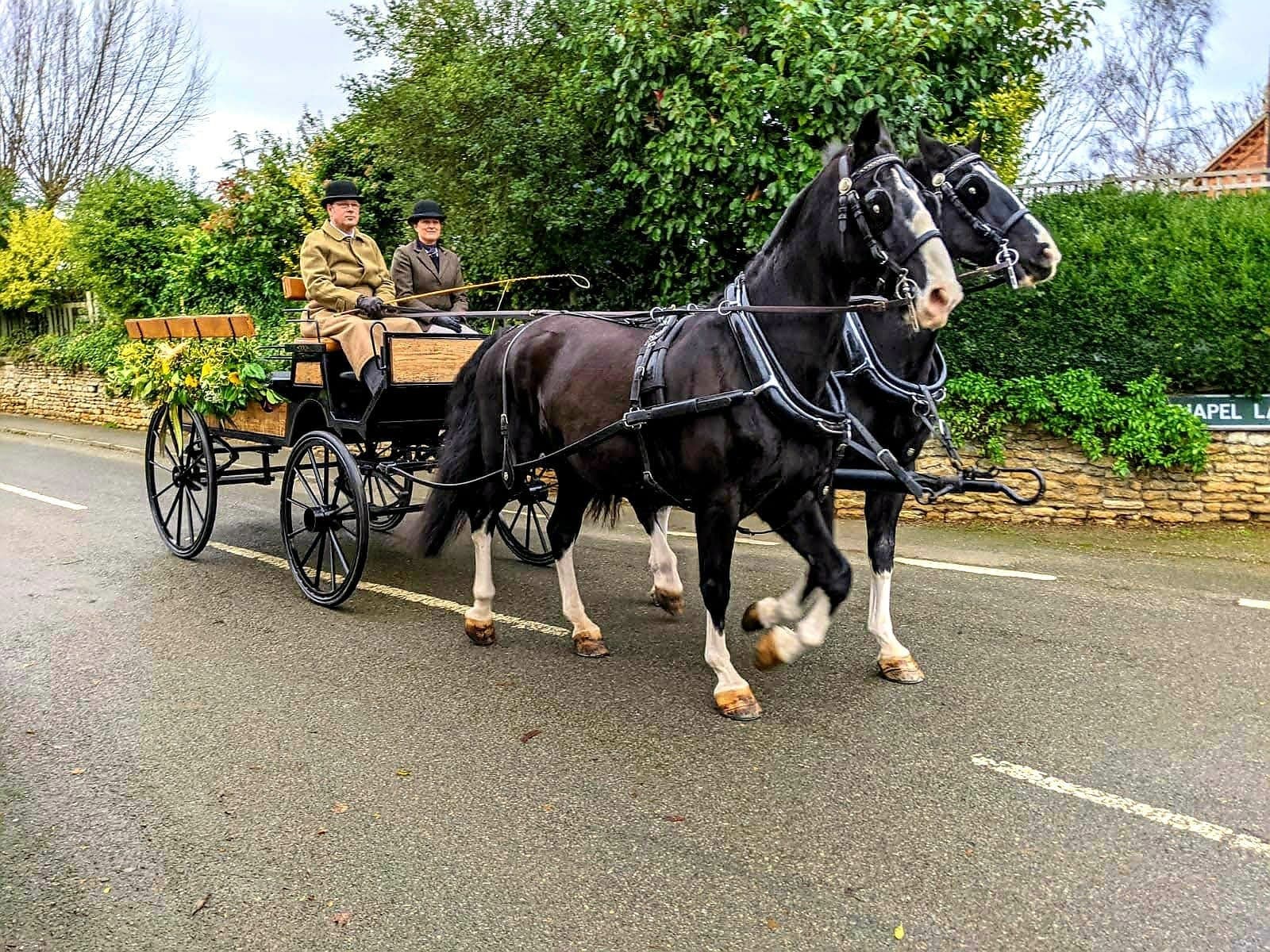 Danny at the reins with the black Landau pair outside a Lincolnshire country house