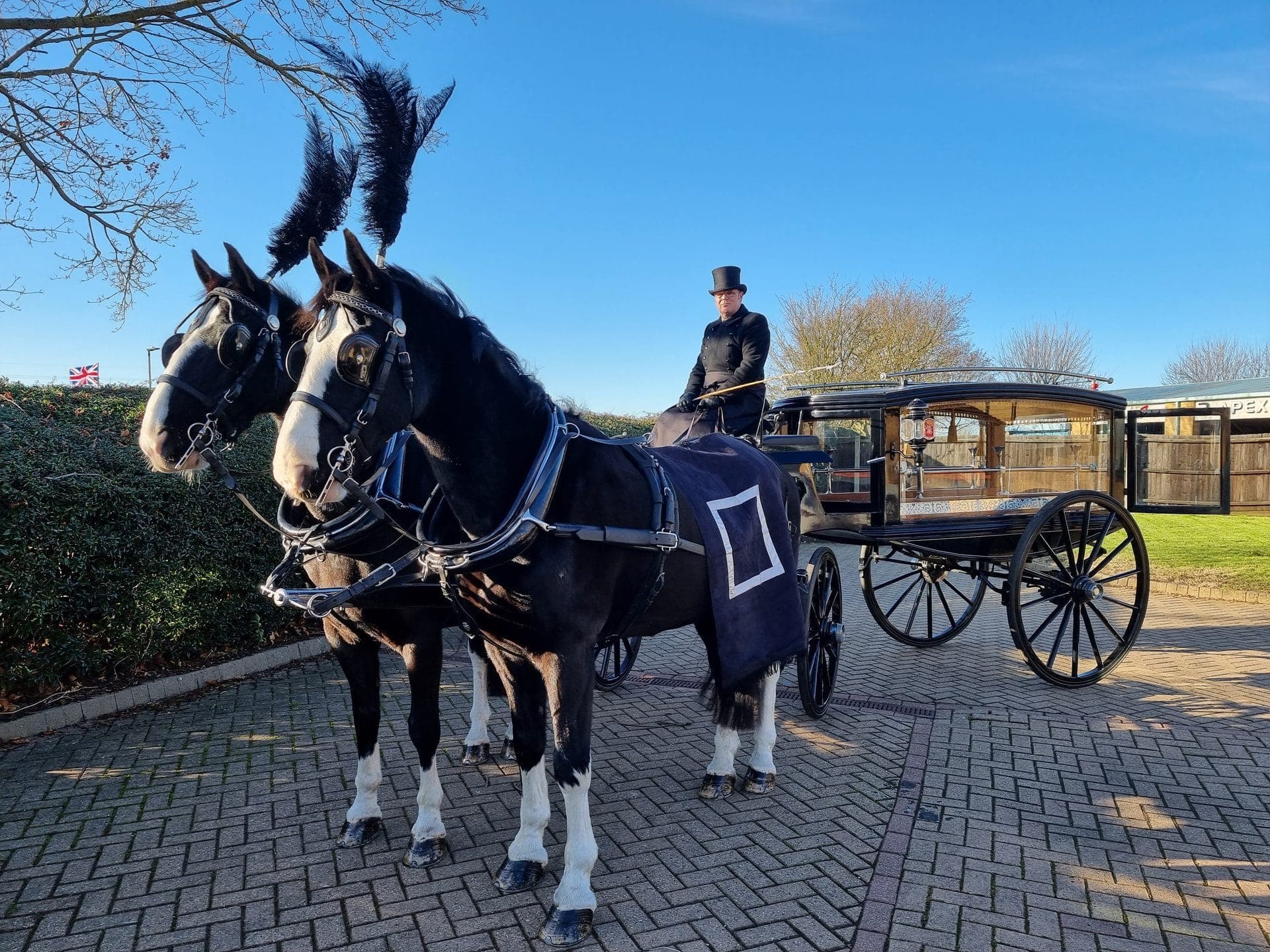 Black Gelderlander · KWPN Dutch Warmblood Victor at DK Carriage Horses, Barlows Farm, Grantham