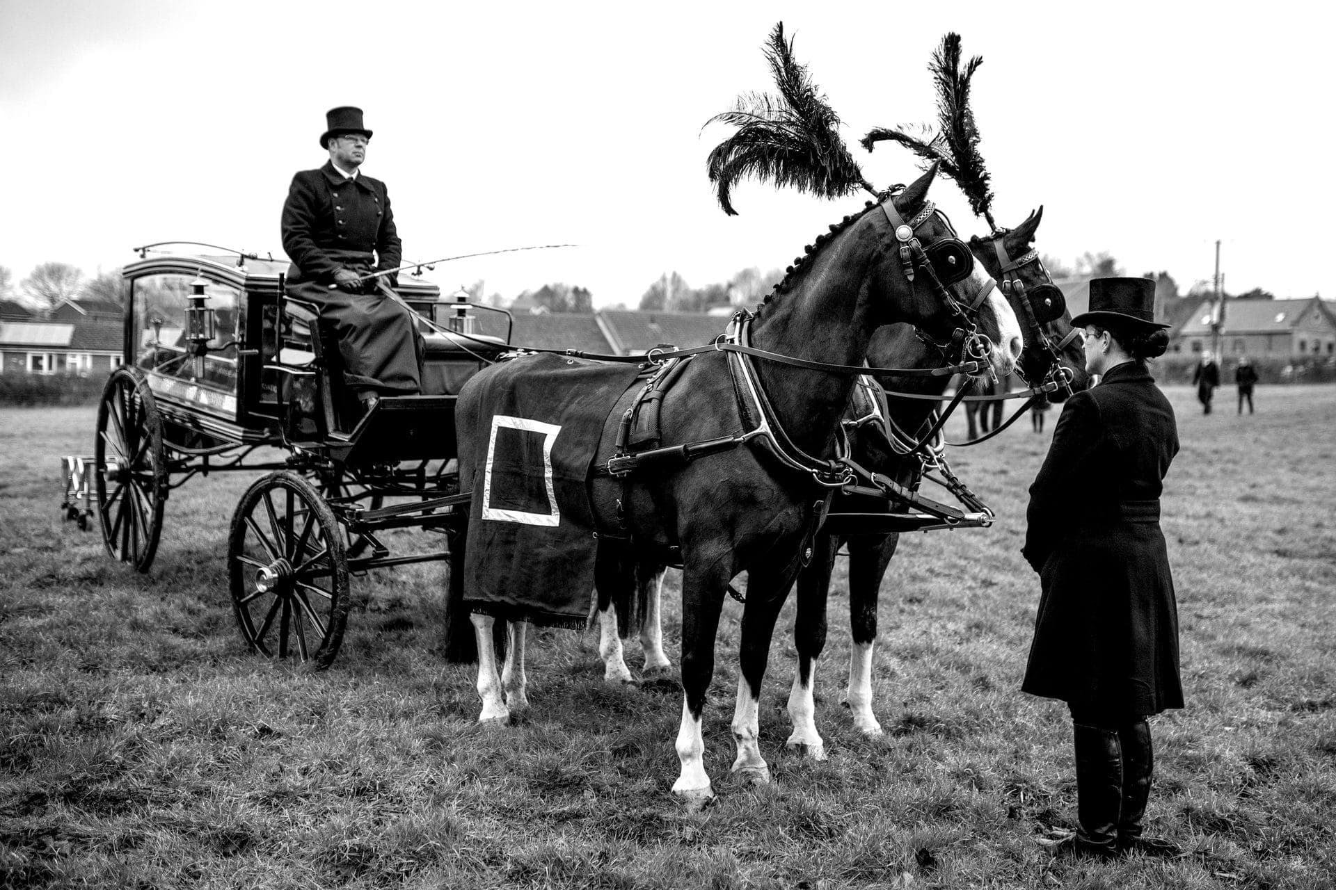 Close-up of a black carriage horse in full funeral harness with a coachman in top hat, misty morning