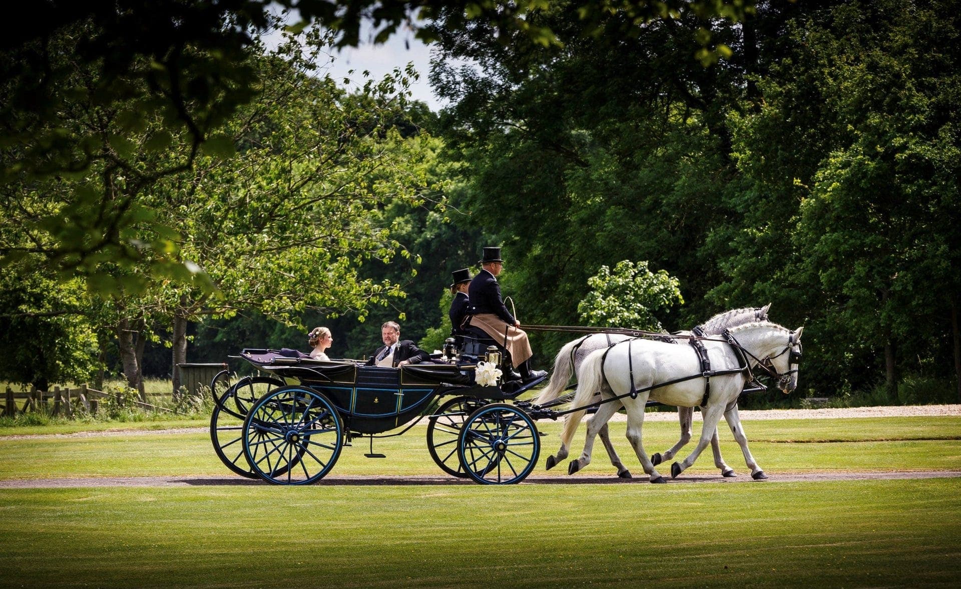 Grey horses drawing the blue Landau carriage with its hood folded back on a summer evening