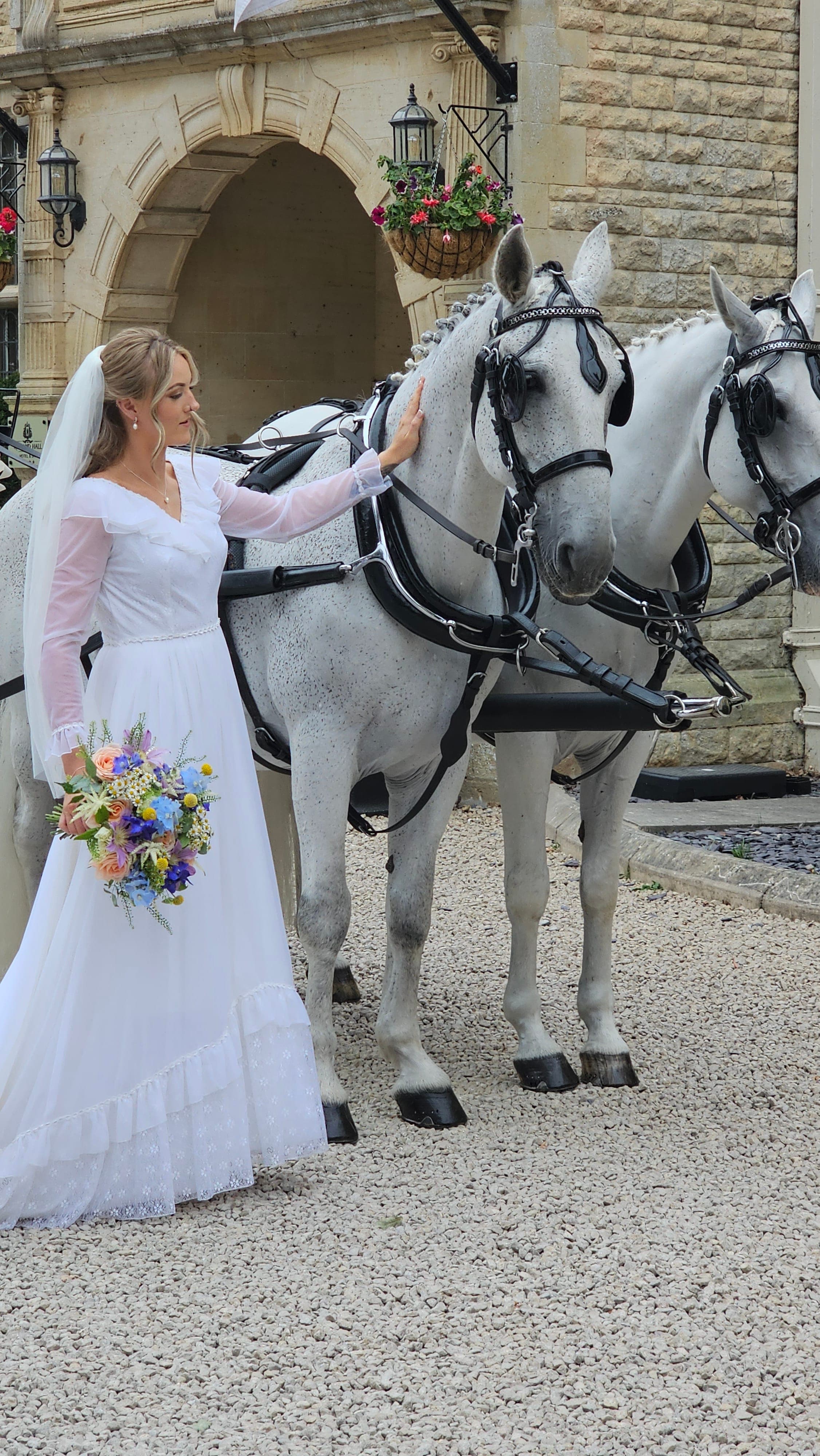Bride stroking grey Lippizaner horses at a Lincolnshire wedding venue